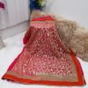Party Wear Saree- Pink Net