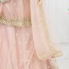 PartyLehenga LightPink Color – NPL8002