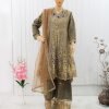 NazonBrand Party Dress-Golden and Ash Color – NBPD-5001