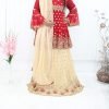 NazonBrand Party Lehenga – Gold and Red – NBPL-5009