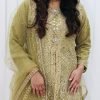 NazonBrand Party Dress-Golden and Light Green Color – NBPD-5002