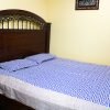 Cotton Bed Sheet with 2 Pillow Covers (Double Size) – NBCBS-850002