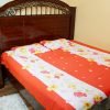 Cotton Bed Sheet with 2 Pillow Covers (Double Size) – NBCBS-850008
