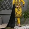 Stitched Fancy Embroidered Dresses NRT-ARJ1011