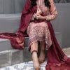 Nazon Brand | Stitched Fancy Embroidered Dresses NRT-ARJ1016 2nd