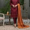Nazon Brand | Stitched Fancy Embroidered Dresses NRT-ARJ1017