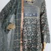 Net Embroidered Long Maxi Suit – NBLM-188808