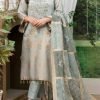 Nazon Brand - Stitched Banarsi Lawn - NB61544 - Image 2