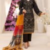 Organza 3 piece Suit - Embroidered Organza Dress - NBO61624